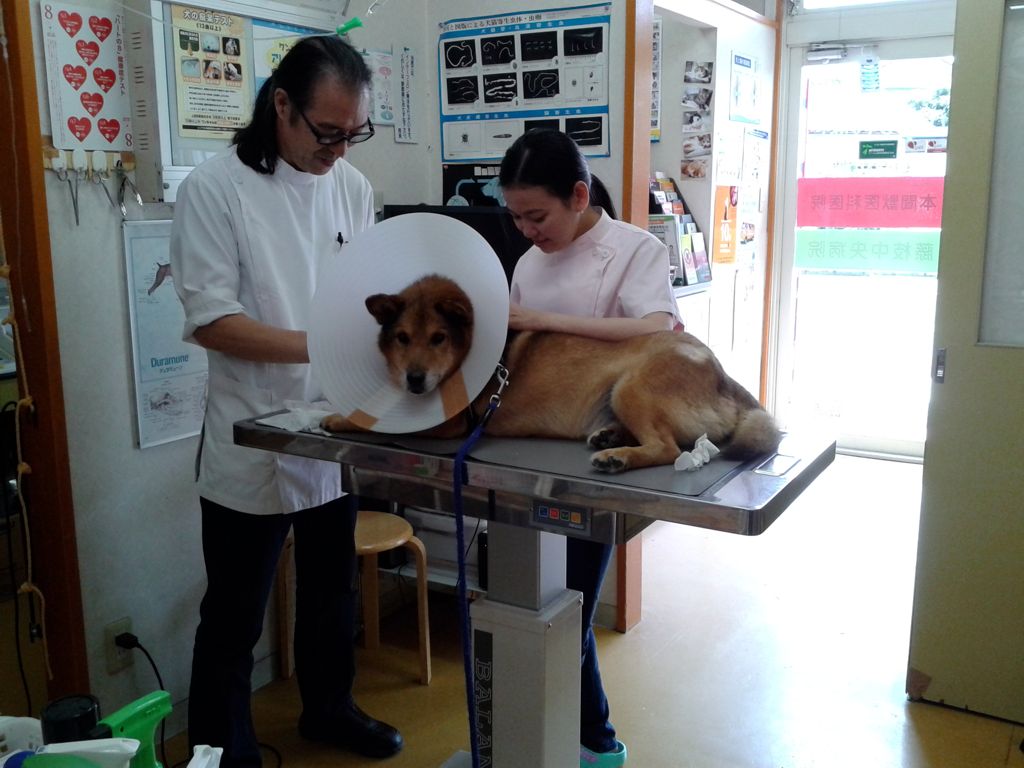 Bếp giá rẻ tp.hcm