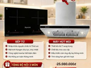 COMBO BẾP TỪ LATINO LT-035I + MÁY HÚT MÙI LATINO LT-T0870SS