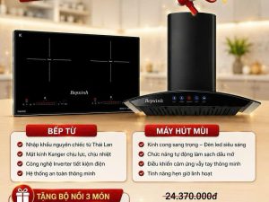COMBO BẾP TỪ LATINO LT-035I + MÁY HÚT MÙI LT-S300 LUX