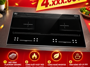 Bếp Từ Đôi Latino LT-776VIP  GIÁ CHỈ CÒN 4.XXX.000Đ